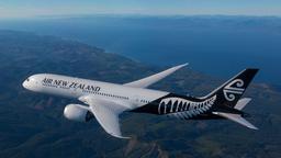  Air New Zealand mají zájem pronajímat lůžka během dálkových letů