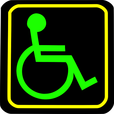 Cestu s invalidním vozíkem je nutné objednat včas 