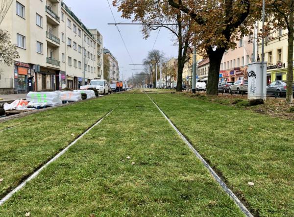 Vědci a DPP testují na tramvajové trati experimentální travní koberce