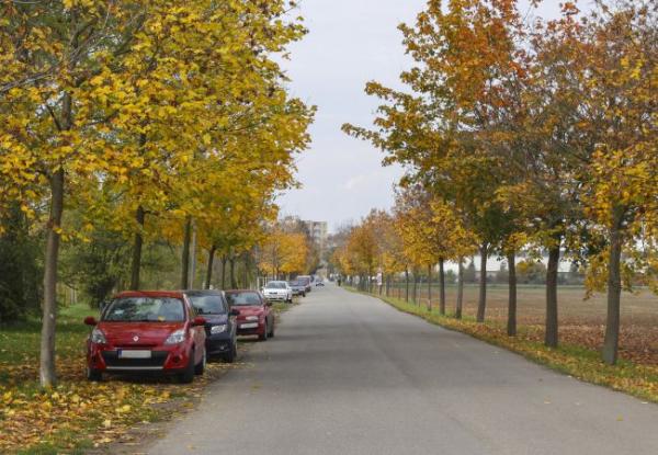 Kroměříž postaví nový chodník u Bágráku a přibydou u něj parkovací místa